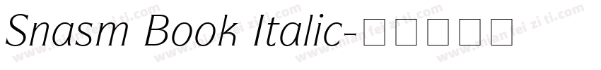 Snasm Book Italic字体转换